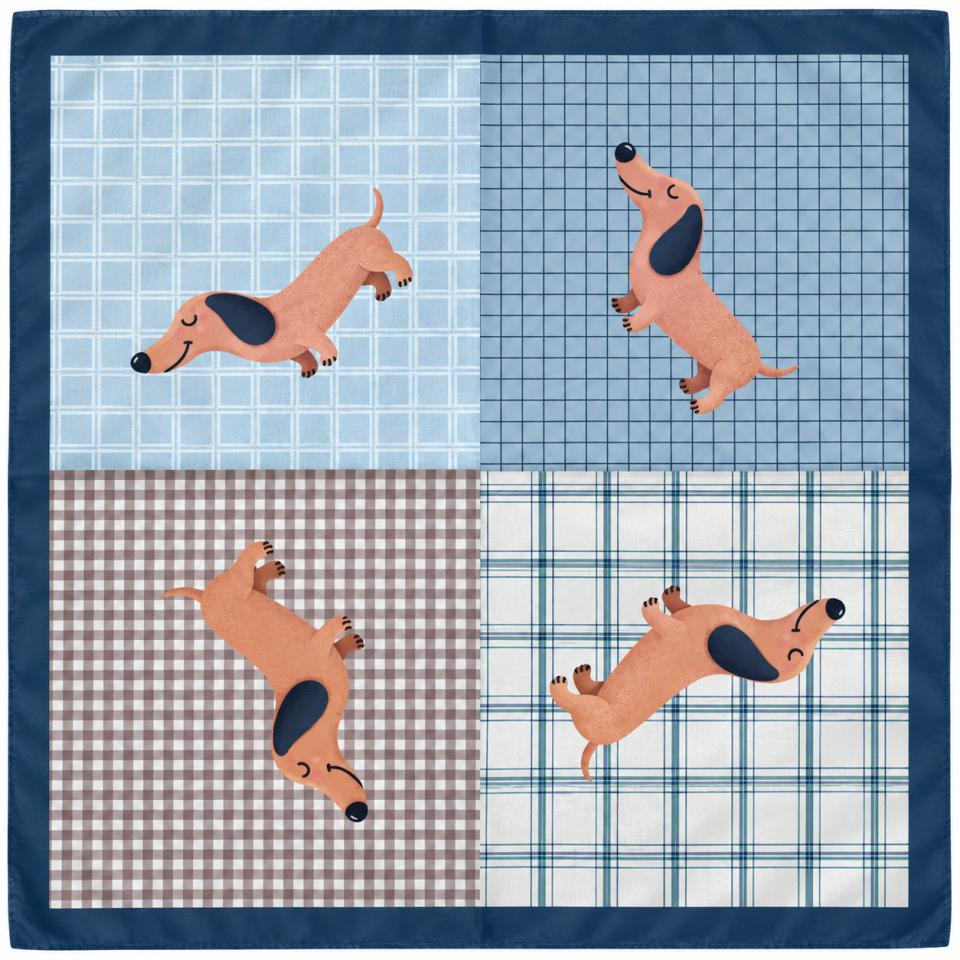 Pañuelo de Seda Teckel 70x70